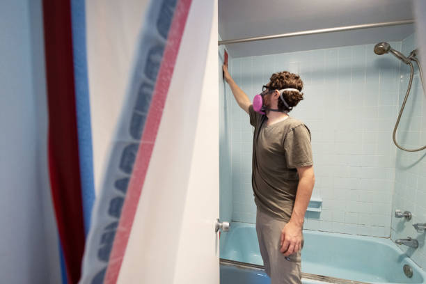 Best Mold Removal for HVAC Installations  in Faison, NC