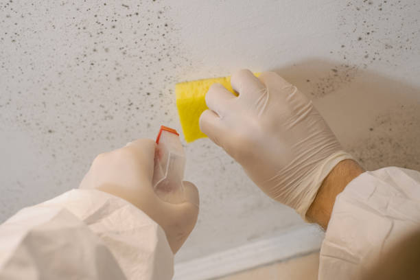 Best Dehumidification Services  in Faison, NC