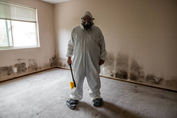 Mold Removal for HVAC Installations in Faison, NC
